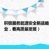 积极服务能源安全新战略（走企业，看高质量发展）