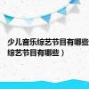 少儿音乐综艺节目有哪些（音乐综艺节目有哪些）