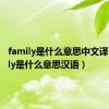 family是什么意思中文译（family是什么意思汉语）