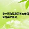 小众而有深意的英文单词（有深意的英文单词）