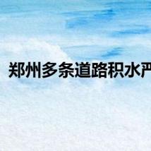 郑州多条道路积水严重
