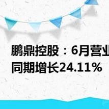 鹏鼎控股：6月营业收入同期增长24.11%
