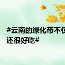 #云南的绿化带不仅好看还很好吃#