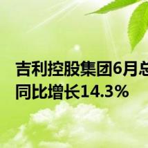 吉利控股集团6月总销量同比增长14.3%