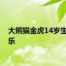 大熊猫金虎14岁生日快乐
