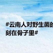 #云南人对野生菌的热爱刻在骨子里#