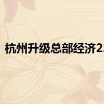 杭州升级总部经济22条