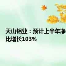 天山铝业：预计上半年净利润同比增长103%