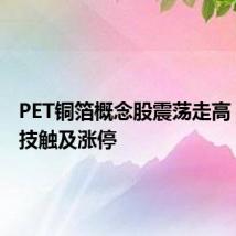 PET铜箔概念股震荡走高 宝明科技触及涨停