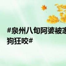 #泉州八旬阿婆被家养土狗狂咬#