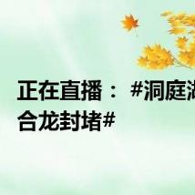 正在直播: #洞庭湖决口合龙封堵#