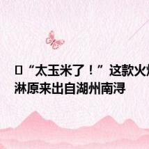 “太玉米了!”这款火爆冰淇淋原来出自湖州南浔