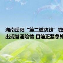 湖南岳阳“第二道防线”钱团间堤出现管涌险情 目前正紧急处置中
