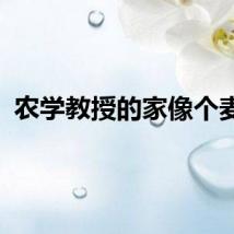 农学教授的家像个麦场