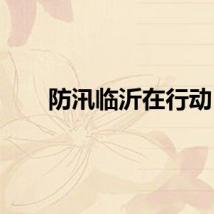 防汛临沂在行动