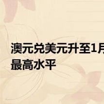 澳元兑美元升至1月以来最高水平
