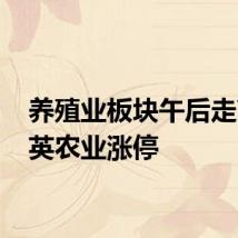 养殖业板块午后走高 华英农业涨停