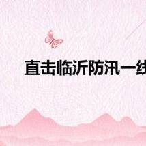 直击临沂防汛一线