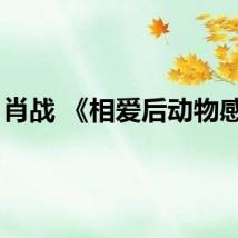 肖战 《相爱后动物感伤》