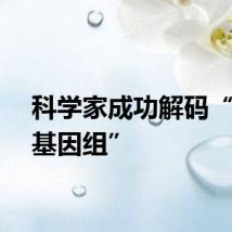 科学家成功解码“材料基因组”