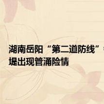 湖南岳阳“第二道防线”钱团间堤出现管涌险情
