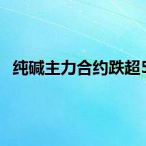 纯碱主力合约跌超5%