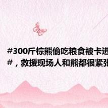 #300斤棕熊偷吃粮食被卡进塑料桶#,救援现场人和熊都很紧张