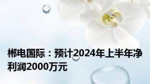 郴电国际：预计2024年上半年净利润2000万元
