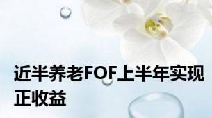 近半养老FOF上半年实现正收益