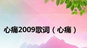 心痛2009歌词（心痛）