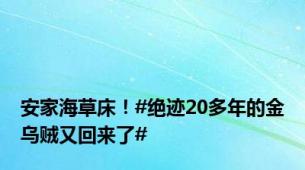 安家海草床！#绝迹20多年的金乌贼又回来了#