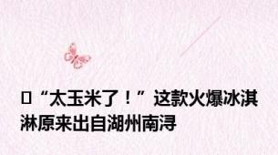 ​“太玉米了！”这款火爆冰淇淋原来出自湖州南浔