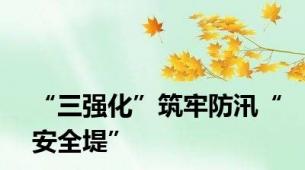 “三强化”筑牢防汛“安全堤”