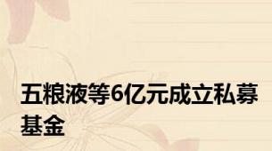 五粮液等6亿元成立私募基金
