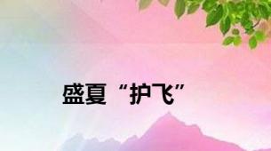 盛夏“护飞”