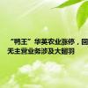 “鸭王”华英农业涨停，回应：暂无主营业务涉及大翅羽