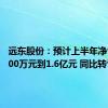 远东股份：预计上半年净亏损8000万元到1.6亿元 同比转亏