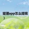 望潮app怎么提现（望潮）