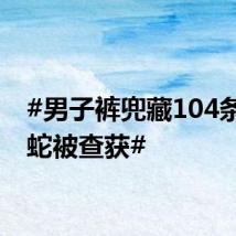 #男子裤兜藏104条活体蛇被查获#