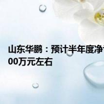 山东华鹏:预计半年度净亏损6600万元左右