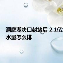 洞庭湖决口封堵后 2.1亿立方米水量怎么排