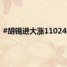 #胡锡进大涨11024元#