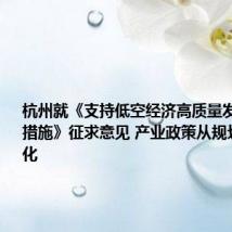 杭州就《支持低空经济高质量发展的若干措施》征求意见 产业政策从规划走向细化