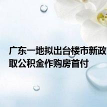 广东一地拟出台楼市新政:可提取公积金作购房首付