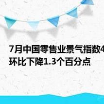 7月中国零售业景气指数49.6% 环比下降1.3个百分点