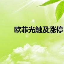 欧菲光触及涨停