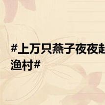 #上万只燕子夜夜赴约小渔村#