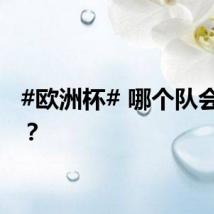 #欧洲杯# 哪个队会夺冠?