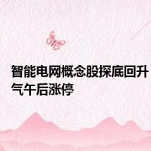 智能电网概念股探底回升 广电电气午后涨停