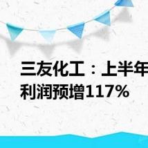 三友化工:上半年度净利润预增117%